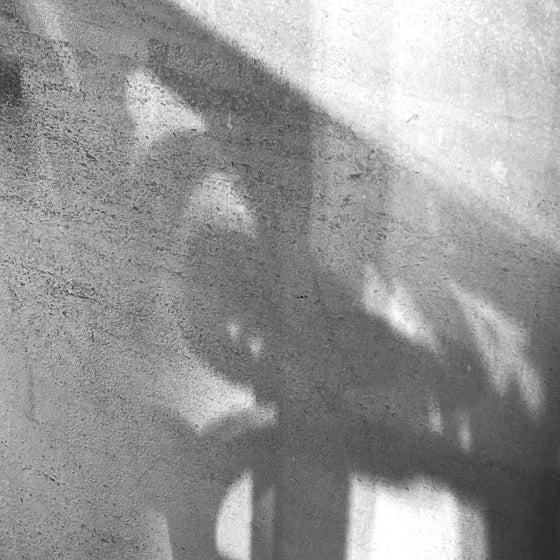 Une ombre sur un mur